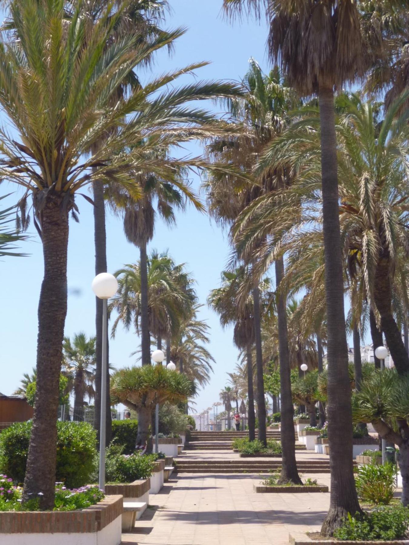 מנילבה Marina Duquesa Apartemento 2110 מראה חיצוני תמונה